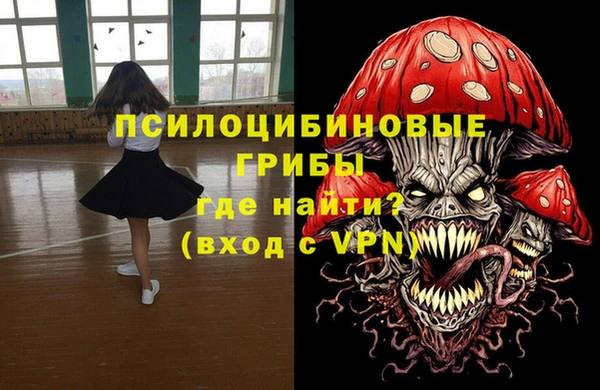 гидра Медвежьегорск