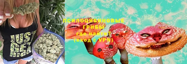 гидра Медвежьегорск